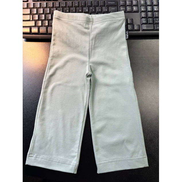 Бавовняний комплект футболка та штанці "Сонік" 110-116рр